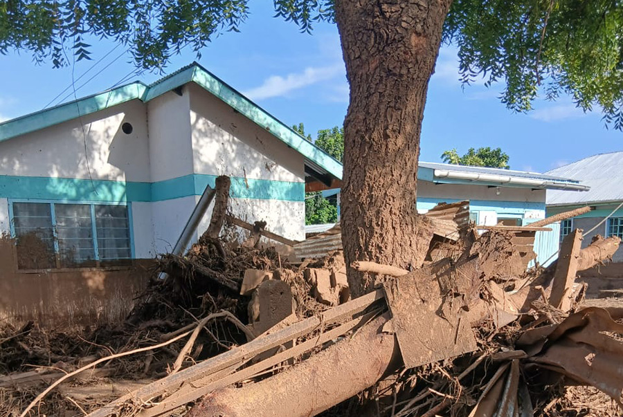 Baum mit Rückstanden der Überschwemmungen, die das Chaos aufzeigen