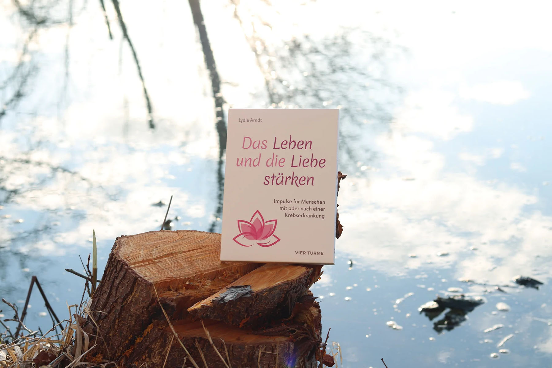 Buch "Das Leben und die Liebe stärken"
