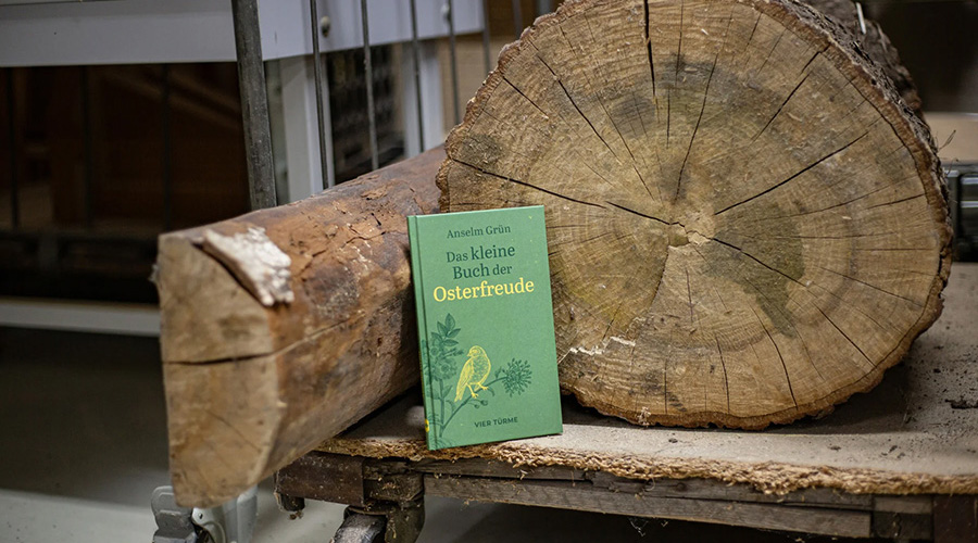 Buch auf einen Tisch neben einen dicken Baumstamm