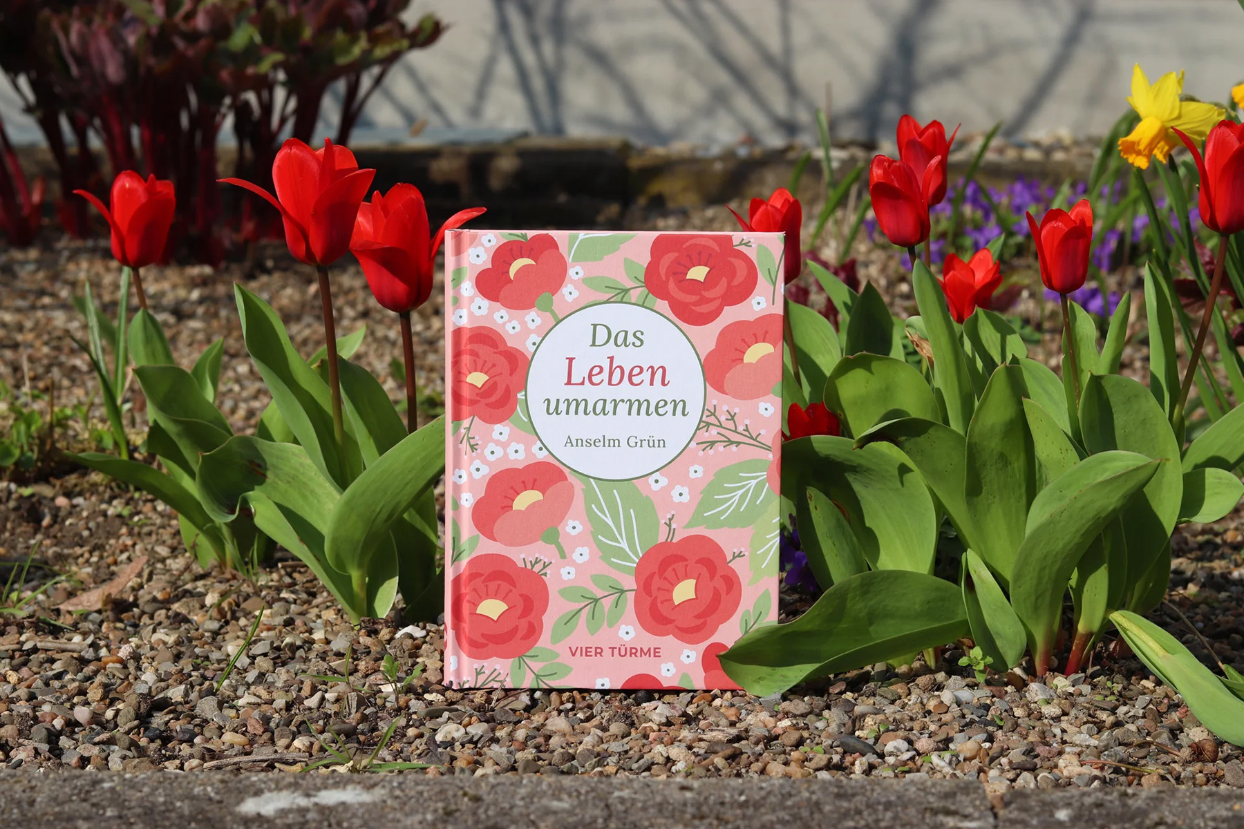 Buch "Das Leben umarmen"