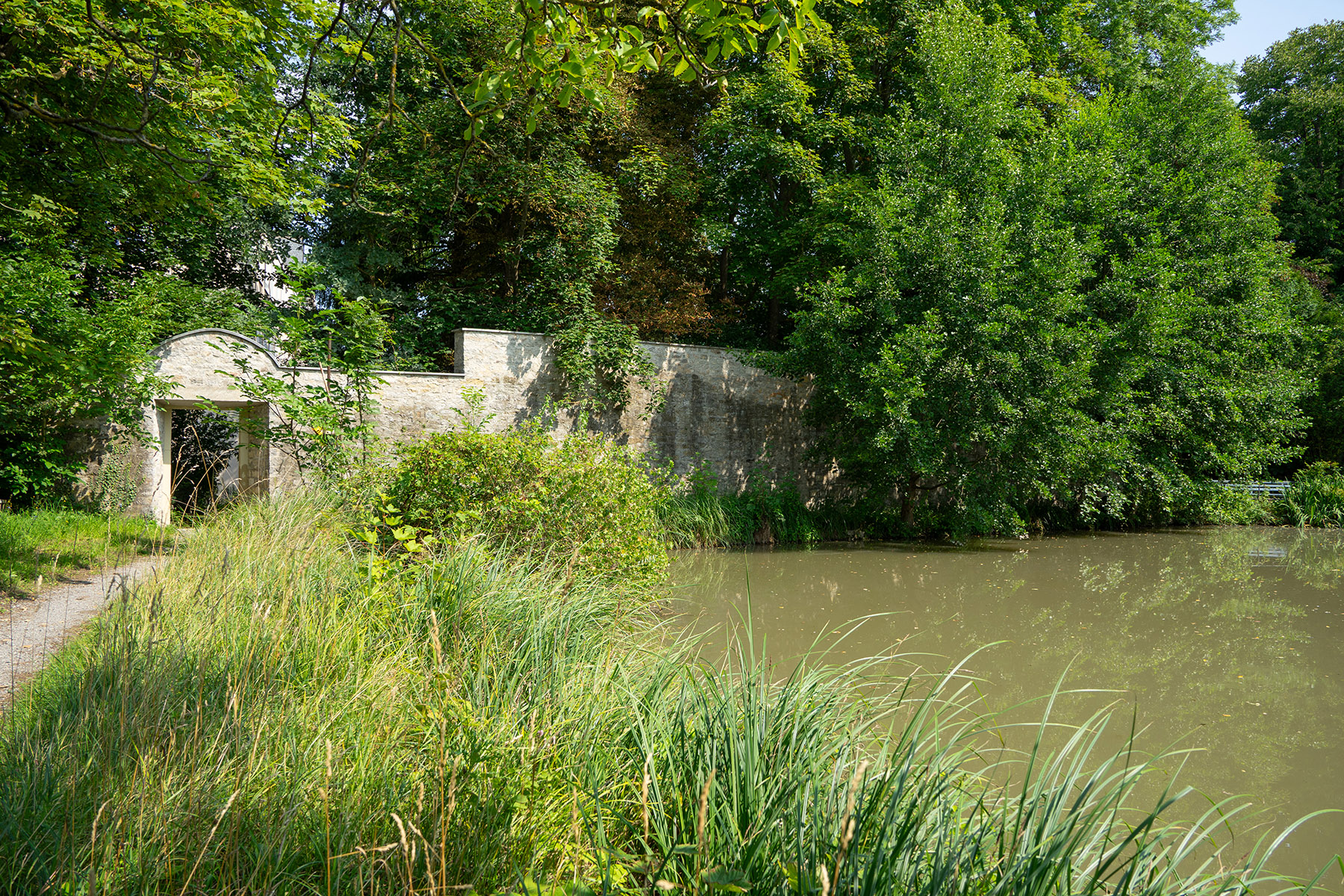Schotterweg mit Grasstreifen und See auf der rechten Seite