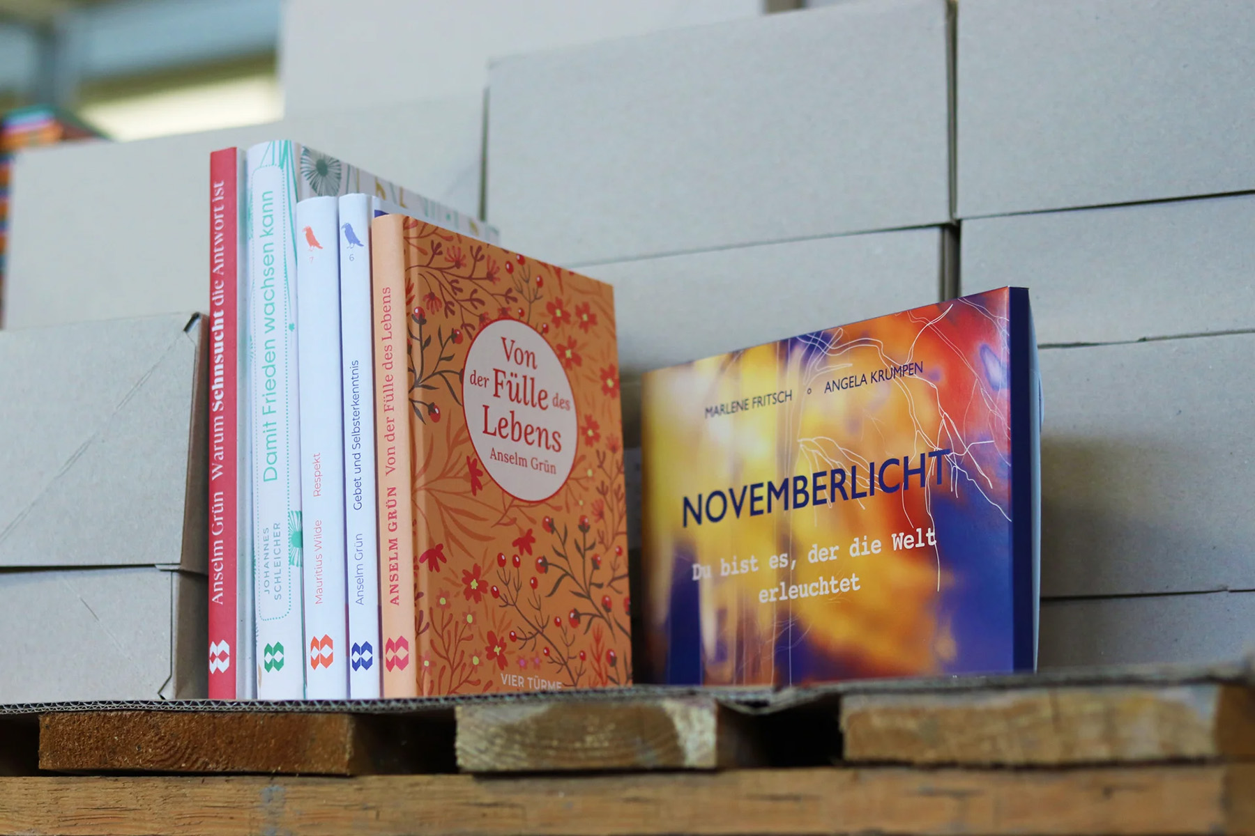 Stapel Bücher auf einer Holzpalette vor Kartons