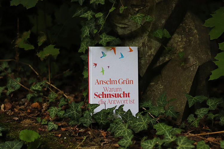 Buch mit weißem Cover umrankt von grünen Blättern