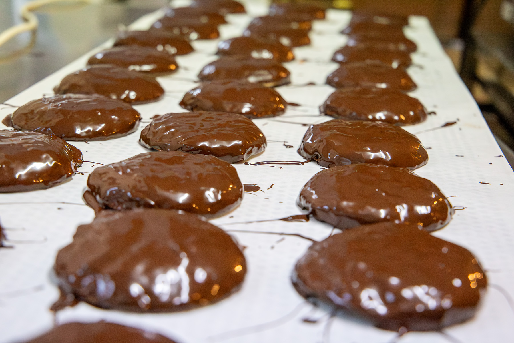 Lange Reihe von frisch mit Schokolade überzogenen Lebkuchen