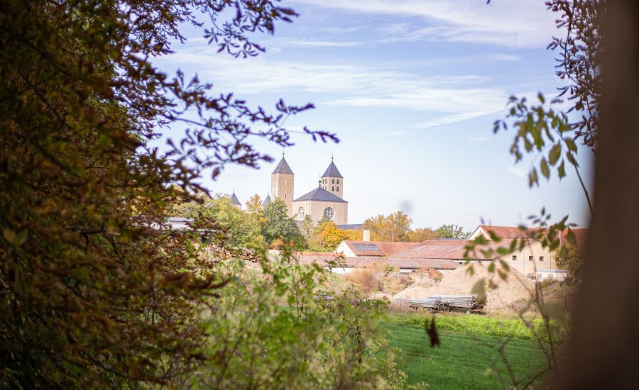 Blick durch Bäume auf eine große Kirche mit zwei Türmen