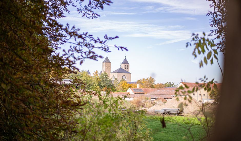 Blick durch Bäume auf eine große Kirche mit zwei Türmen