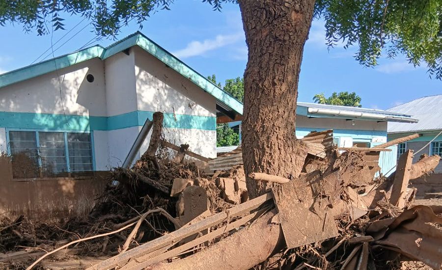 Baum mit Rückstanden der Überschwemmungen, die das Chaos aufzeigen