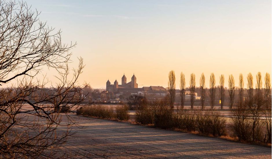 Der ökumenische Hubertusgottesdienst findet in der Abteikirche Münsterschwarzach statt.
