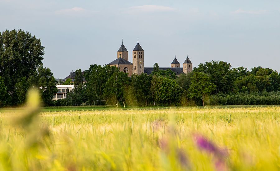 Blick über sonnengelbe Weizenfelder auf die Abtei mit ihren vier Türmen