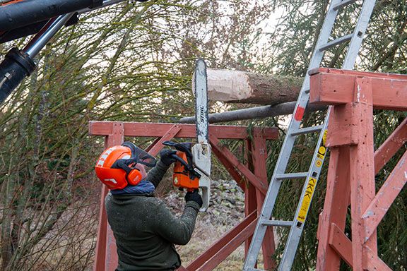 Mann mit Kettensäge, der den Baumstamm bearbeitet
