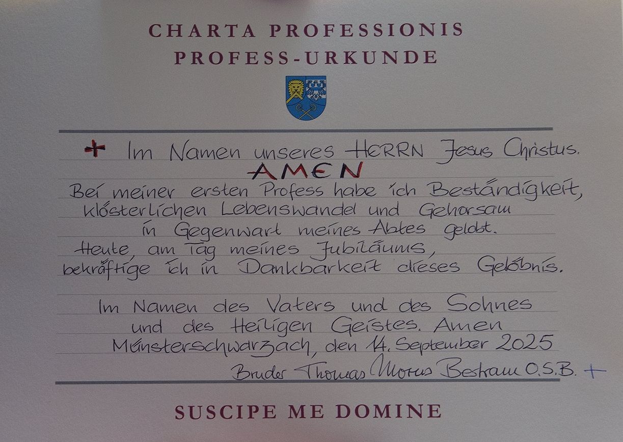 Kirchweihfest und Jubiläen 2025, Professurkunde