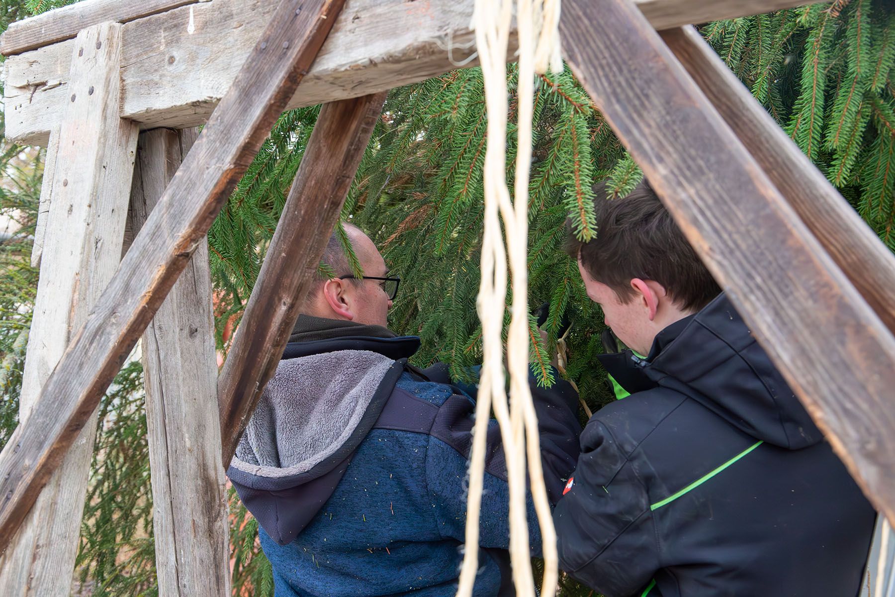 Zwei Männer unter den Zweigen eines Tannenbaums