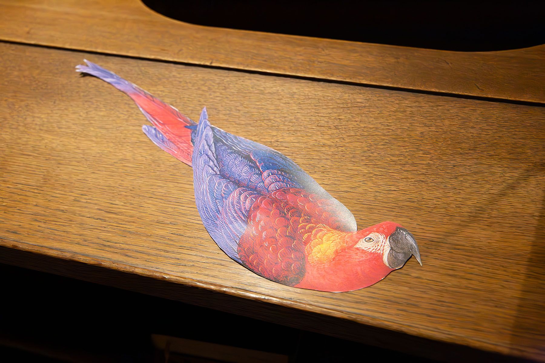 Papierpapagei auf Tisch geklebt