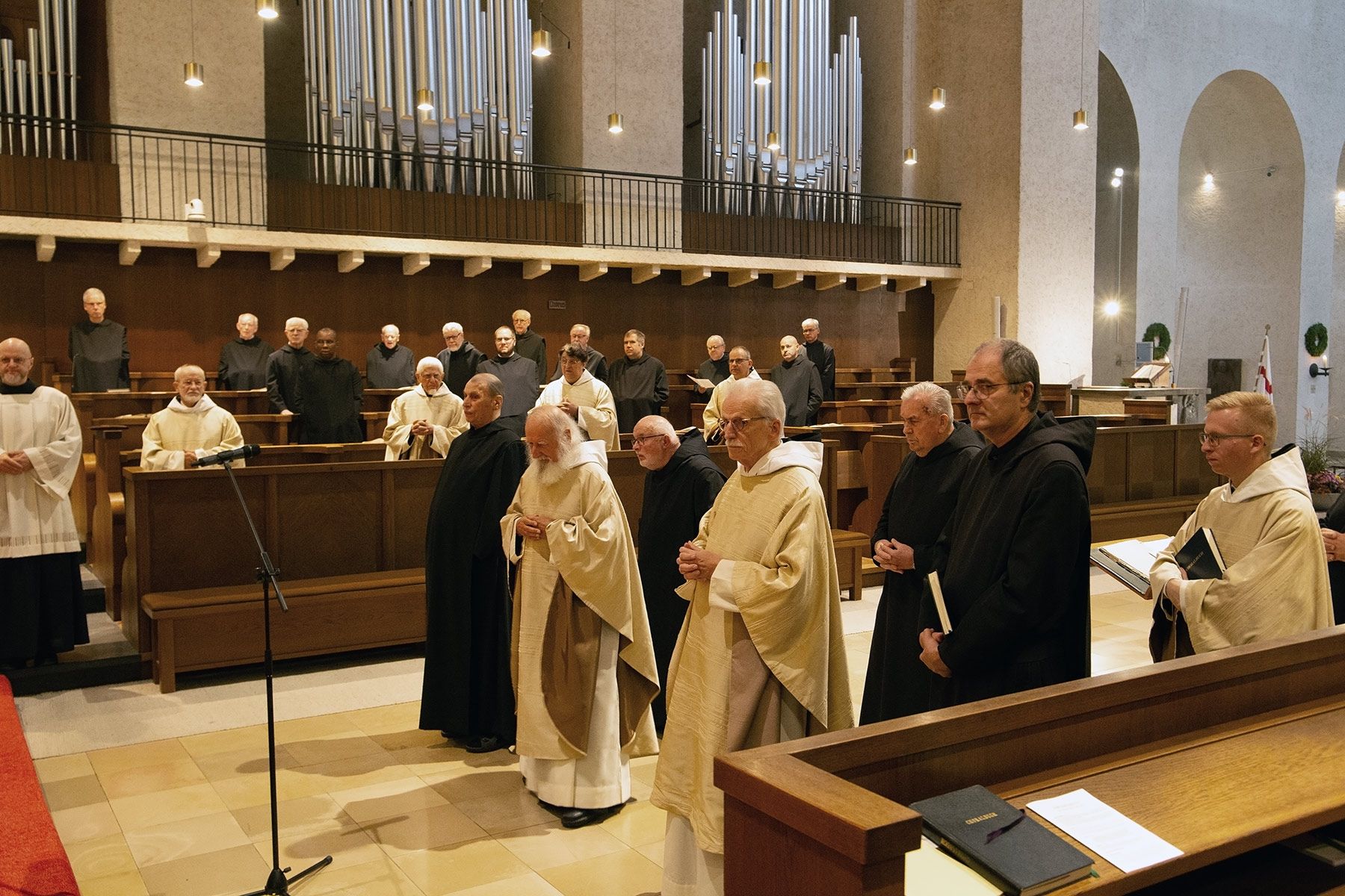 Kirchweihfest und Jubiläen 2025, Professerneuerung